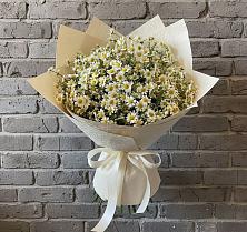 Букет цветов из:  Ромашки в Арзамасе