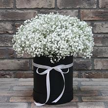 Цветочная композиция из Гипсофила в шляпной коробке в Арзамасе