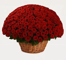 Премиум букет из: Розы в Арзамасе