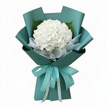 Букет цветов из:  Гортензия в Арзамасе